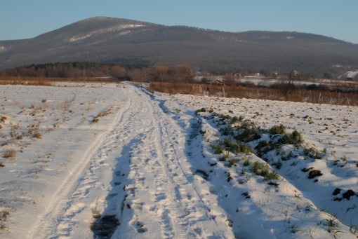 View larger image View larger image