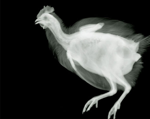 View larger image View larger image