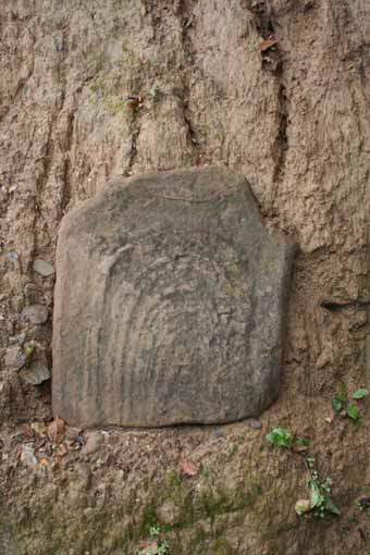 View larger image View larger image