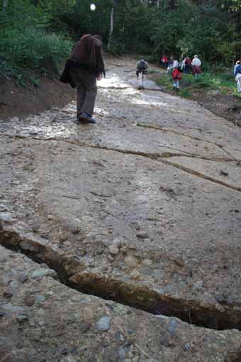 View larger image View larger image