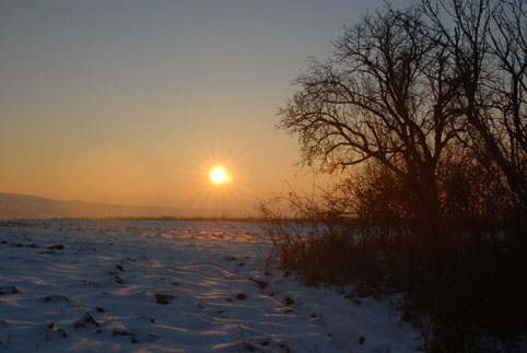 View larger image View larger image