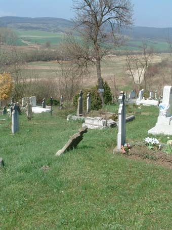 View larger image View larger image