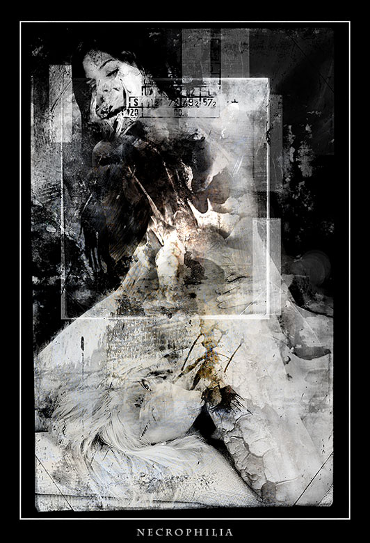 View larger image View larger image