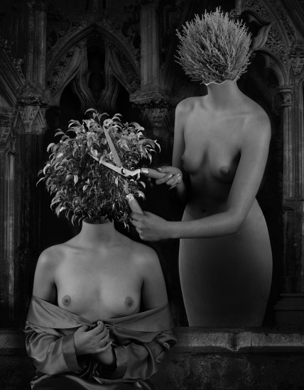 View larger image View larger image