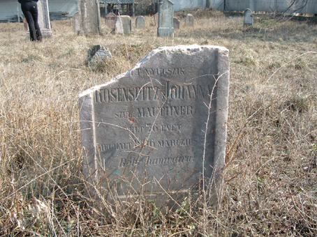 View larger image View larger image