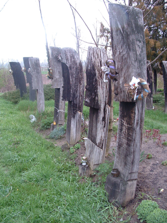 View larger image View larger image