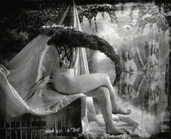 View larger image View larger image