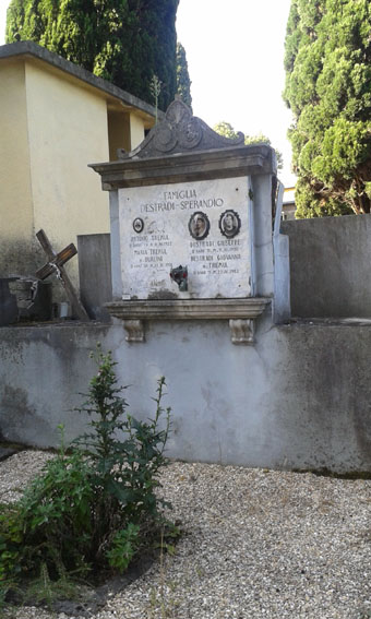 View larger image View larger image