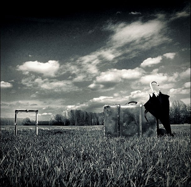 View larger image View larger image