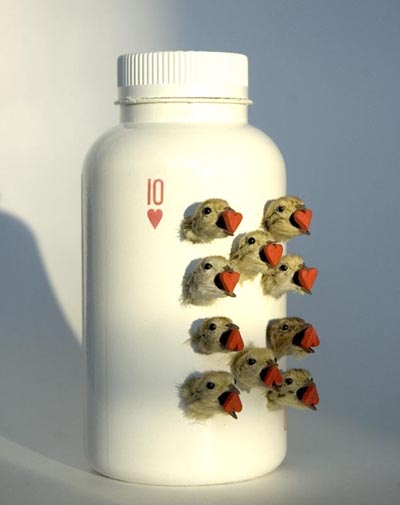 View larger image View larger image