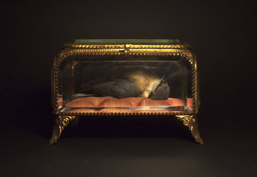 View larger image View larger image