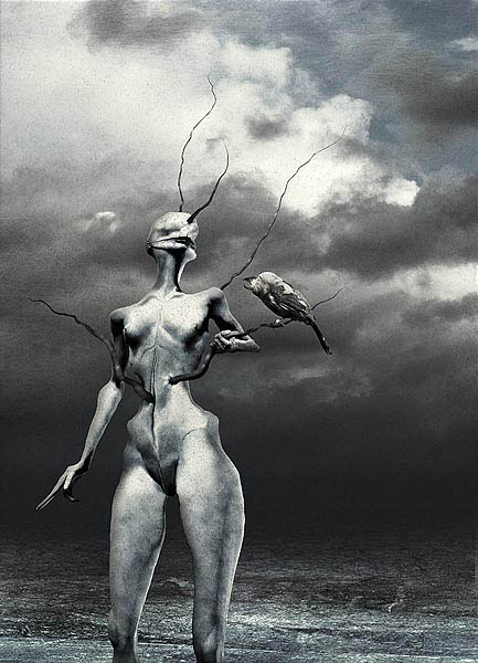 View larger image View larger image