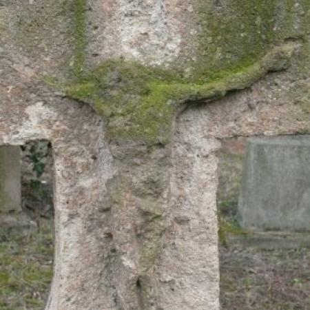 View larger image View larger image