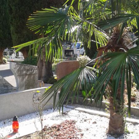 View larger image View larger image