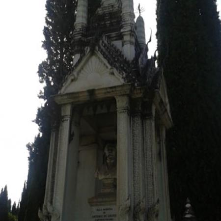 View larger image View larger image