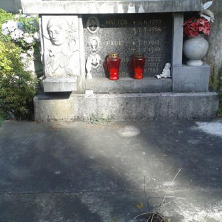 View larger image View larger image