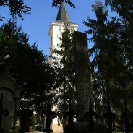 View larger image View larger image